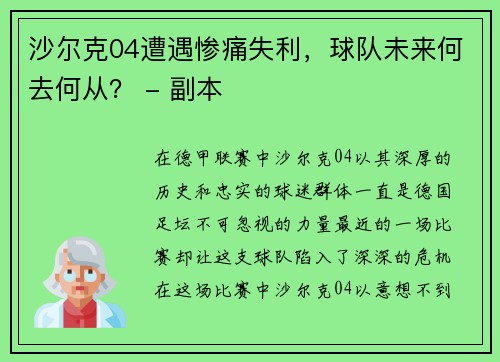 沙尔克04遭遇惨痛失利，球队未来何去何从？ - 副本